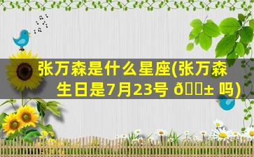 张万森是什么星座(张万森生日是7月23号 🐱 吗)